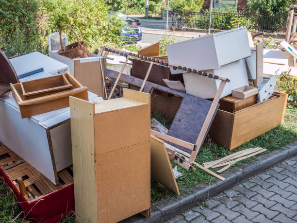Best Electronics Removal Services  in Lincoln Park, MI